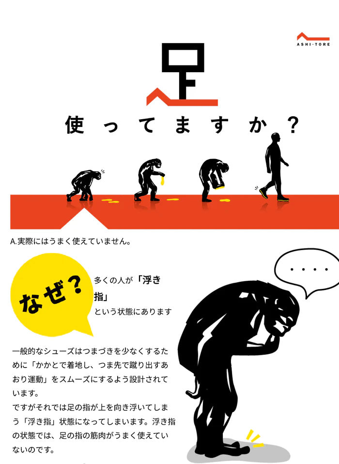BMZ CCLP インソール アシトレ SPORTS《正規品》
