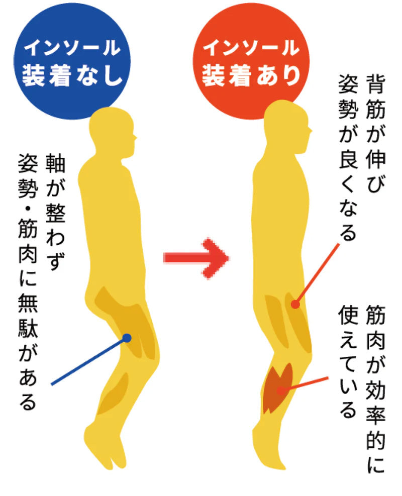 BMZ CCLP インソール アシトレ SPORTS《正規品》
