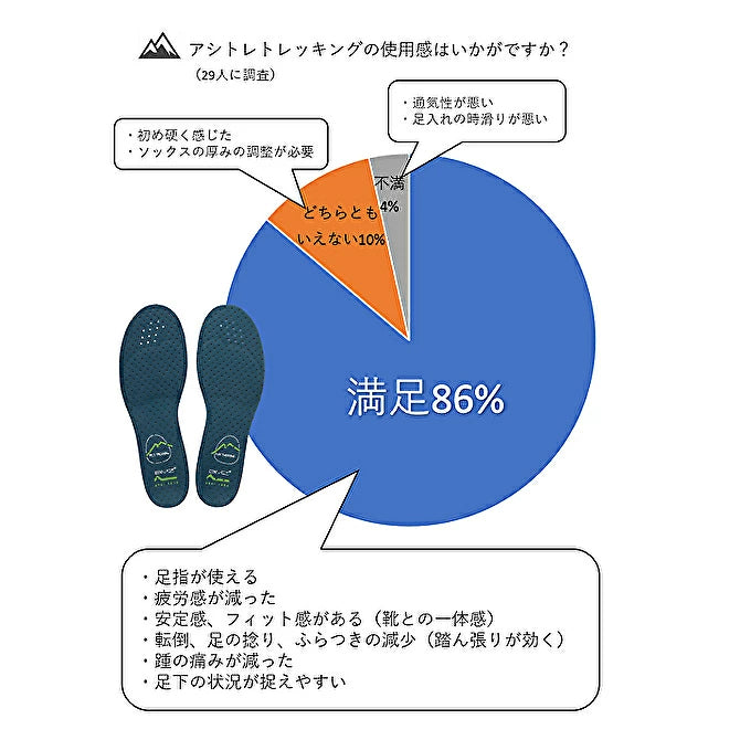 BMZ アシトレ トレッキング インソールTOREKKING【正規品】