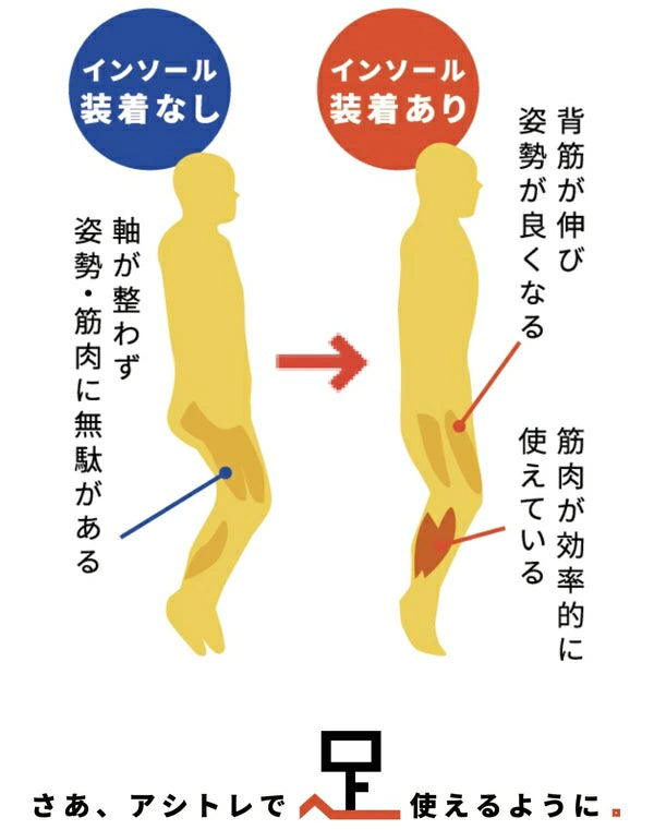 BMZ アシトレ トレッキング インソールTOREKKING【正規品】